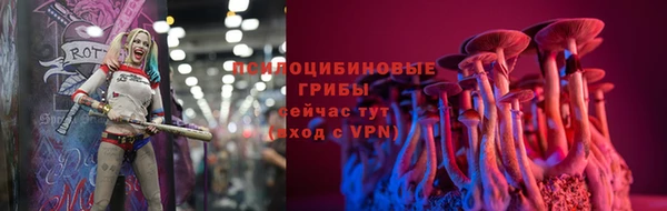 дурь Богданович