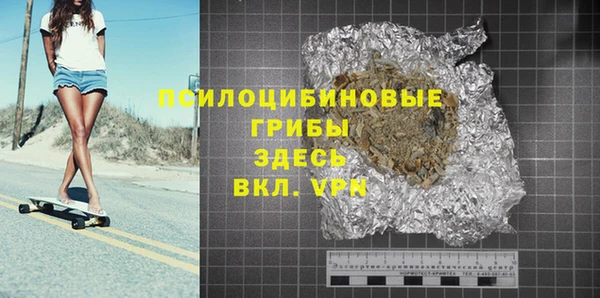 молекула духа Белокуриха