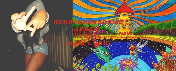 молекула духа Белокуриха