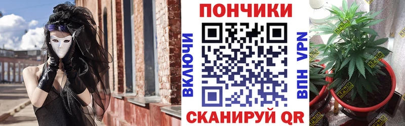Конопля ГИДРОПОН  Болохово 